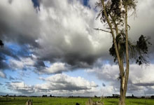 莱比锡主场遭遇门兴格拉德巴赫挑战，谁能笑到最后