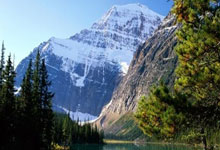 荷兰队险胜比利时队，晋级欧洲杯半决赛